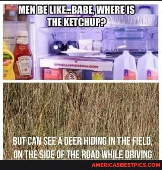 MER BE LIKE. .BABE, WHEREIS THE KETCHUPS
BUT GAN SEE A DEER HIGIKG THE FIELD,
THE SIME OF THE AGAB WHILE ORMWAIKG