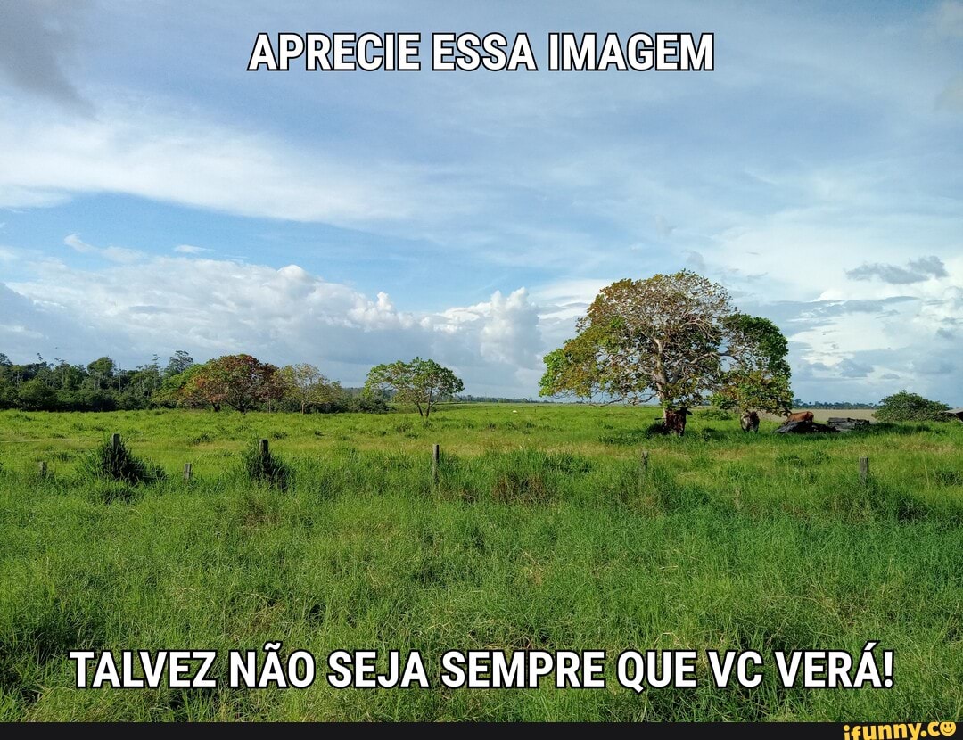 APRECIE ESSA IMAGEM
TALVEZ NÃO SEJA SEMPRE QUE VC VERÁ!
