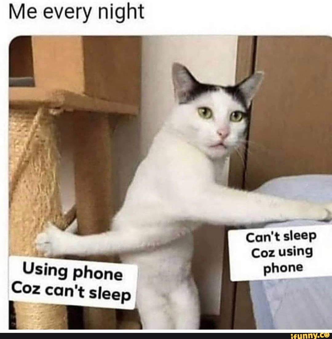 Me every night
Can't sleep
Coz using phone
Using phone
Coz can't sleep