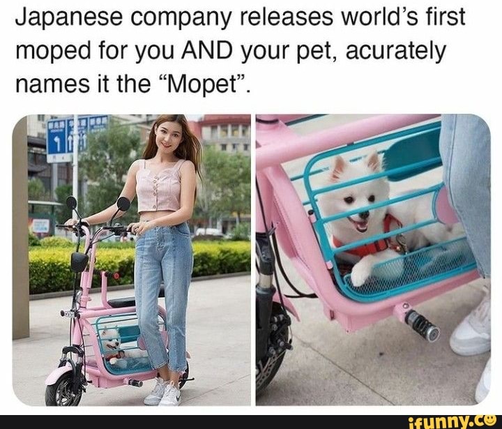 Japanese company releases world's first moped for you AND your pet