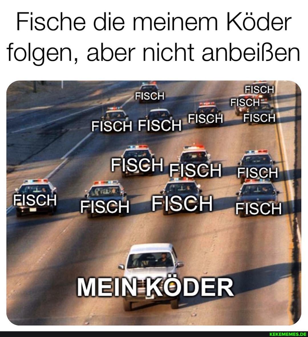 Fische die meinem Köder folgen, aber nicht anbeißen
FISCH Fisch__
FISCH FISCH
FISCH
FISCH FISCH
FISCH FISCH Fisch
HISCH EischH FISCH FiscH
MEIN KÖDER