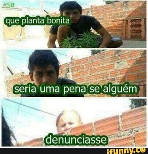 denunciasse as