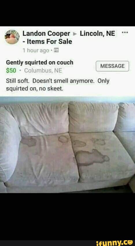 Landon Cooper Lincoln Ne Items For Sale Gently Squirted On Couch 50 Message Still Soft