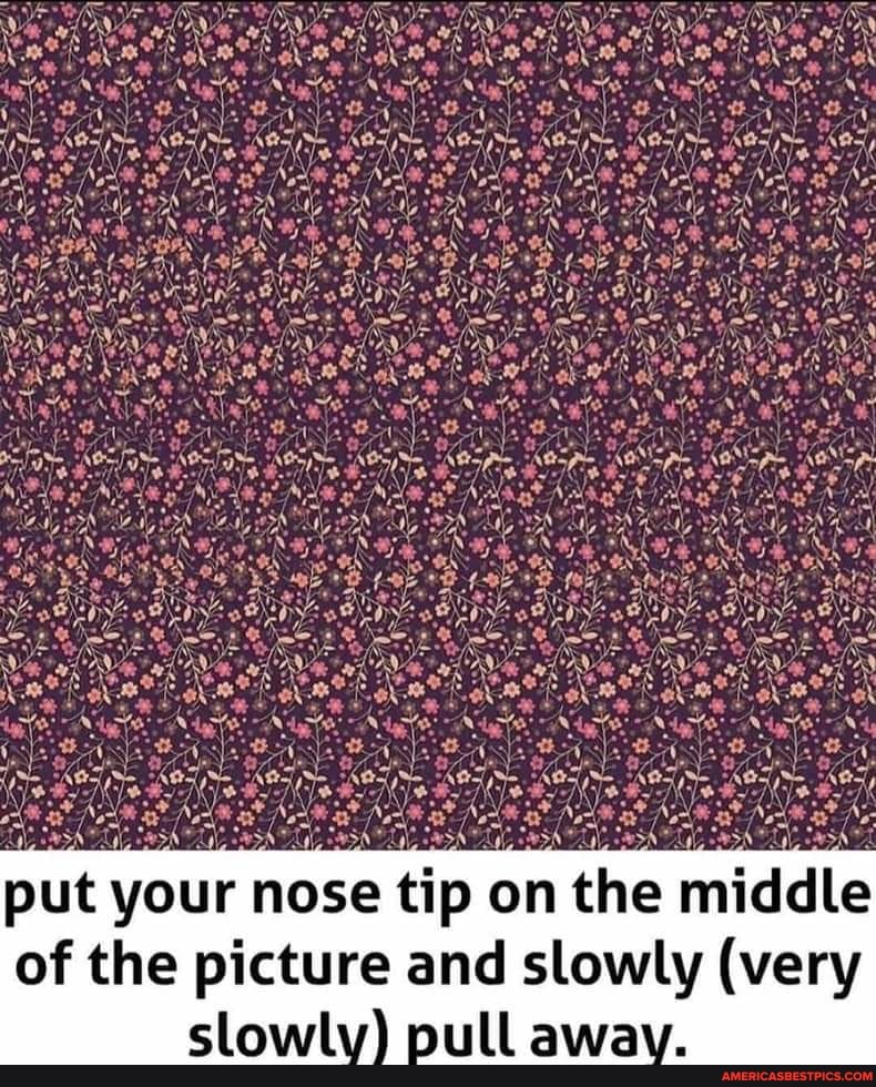 put your nose tip on the middle of the picture and slowly (very
owly) pull awav.