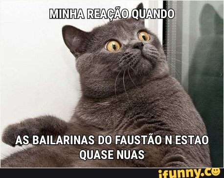 AS BAILARINAS DO FAUSTÃO N ESTAO
QUASE NUAS