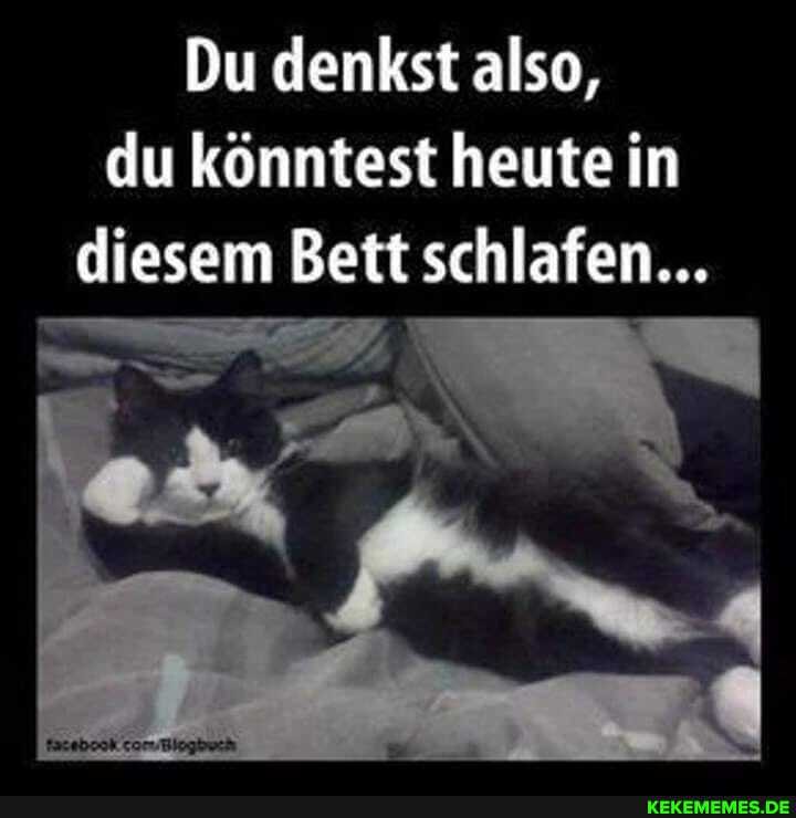 Du denkst also, du könntest heute in diesem Bett schlafen...