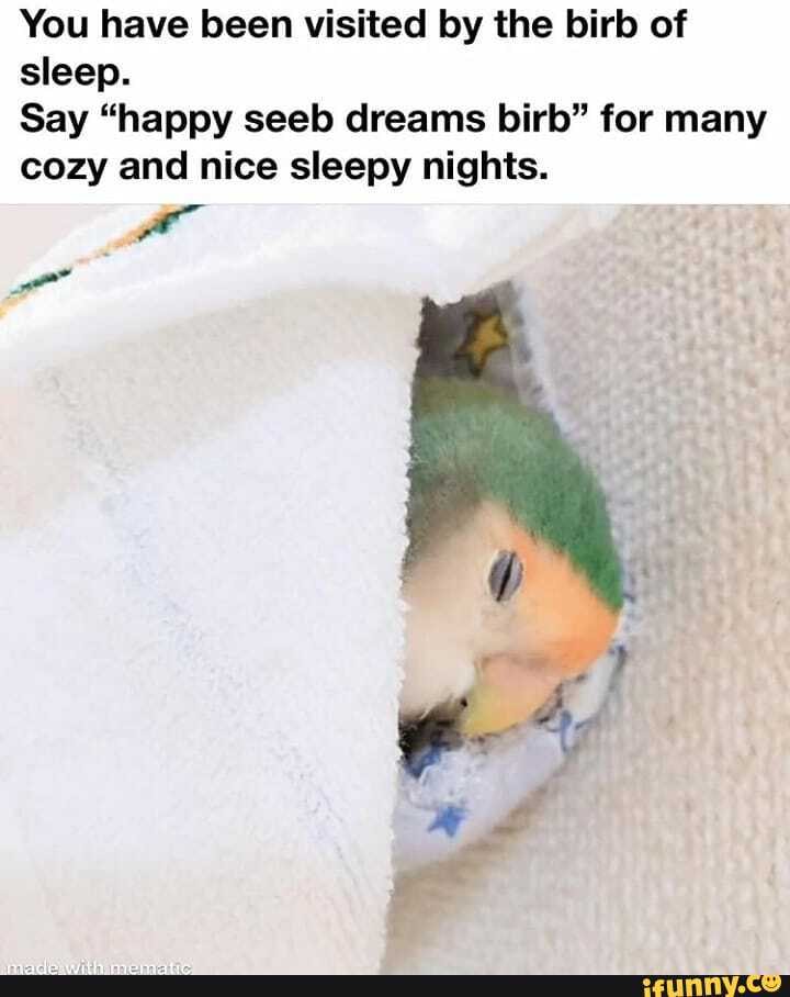 You have been visited by the birb of
sleep.
Say "happy seeb dreams birb" for many
cozy and nice sleepy nights.
