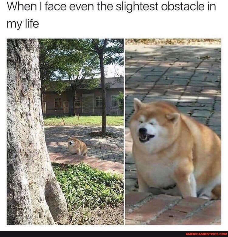 When I face even the slightest obstacle in my life