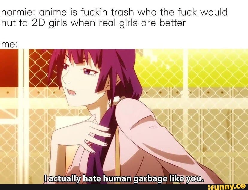 Normie Anime Is Fuckin Trash Who The Fuck Would Nut To 2d Girls When Real Girls Are Better Me Ifunny