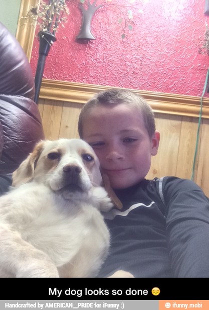 My dog looks so done Y - My dog looks so done π
