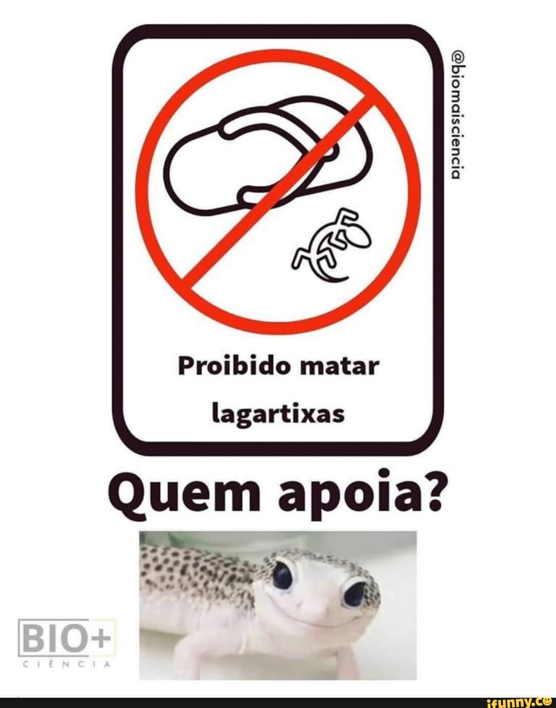 Proibido matar
lagartixas
Quem apoia?