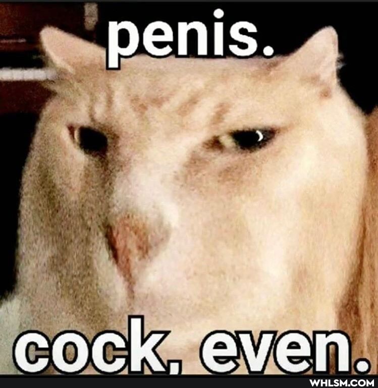 penis.
eack evan.