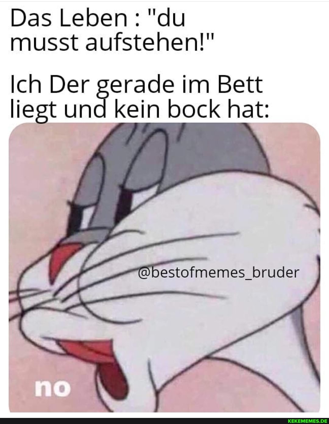 Das Leben: "du musst aufstehen!"
Ich Der gerade im Bett liegt und kein bock hat:
estofmemes_bruder