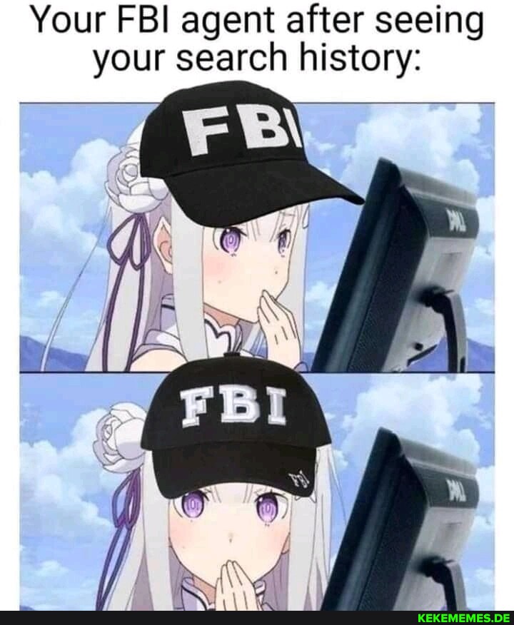 Your FBI agent after seeing your search history: