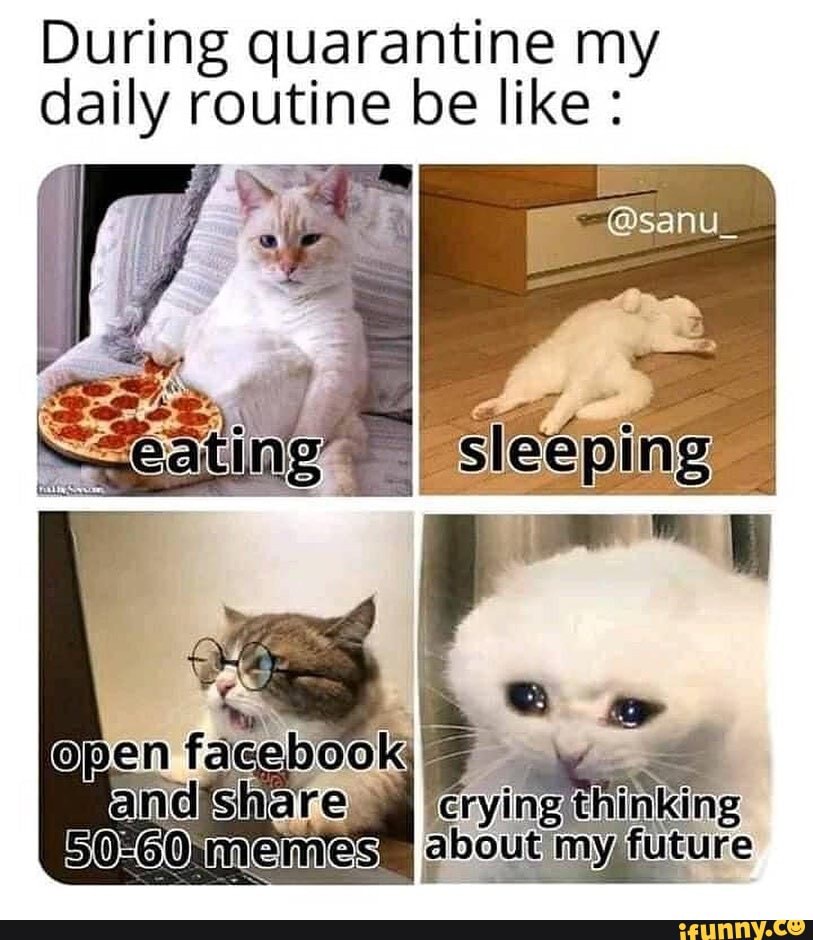 During quarantine my routine be like :