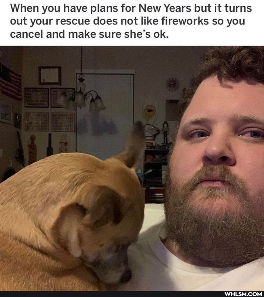 When you have plans for New Years but it turns out your rescue does not like fireworks so you cancel and make sure she's ok.