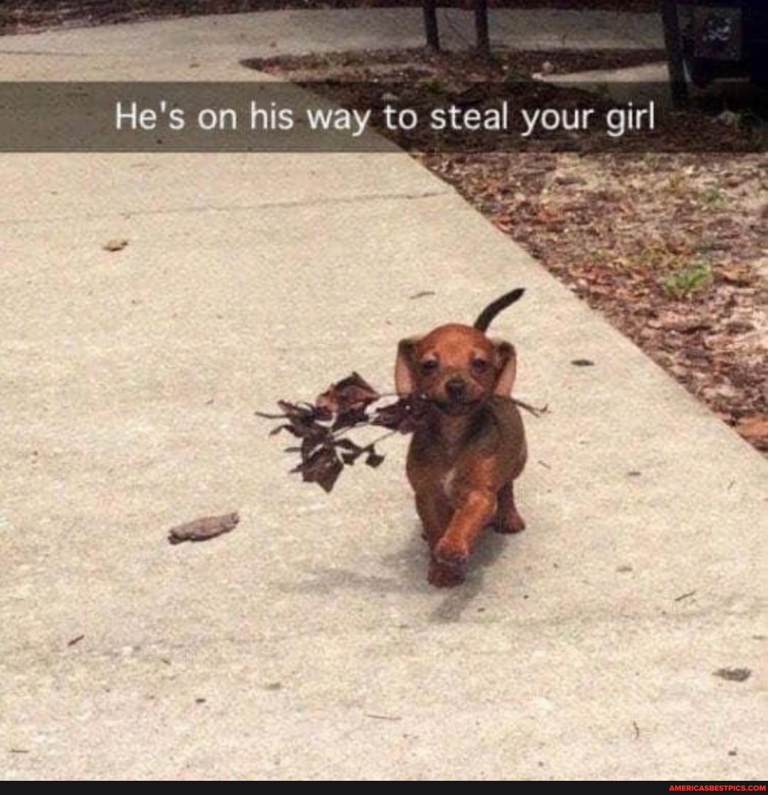 He's on his way to steal your girl