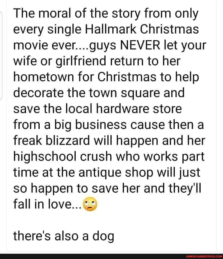 The moral of the story from only every single Hallmark Christmas movie ever....guys NEVER let your wife or girlfriend return to her hometown for Christmas to help decorate the town square and save the local hardware store from a big business cause then a freak blizzard will happen and her highschool crush who works part time at the antique shop will just so happen to save her and they'll fall in love...
there's also a dog