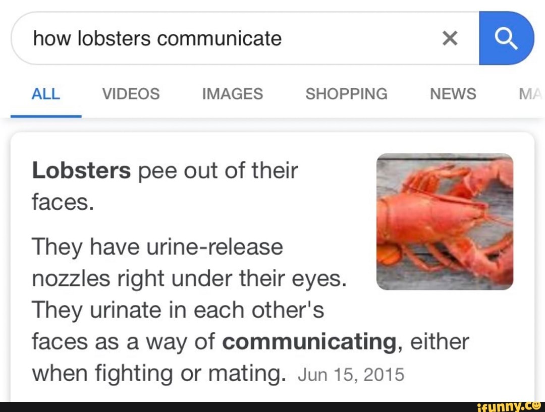 Nozzles memes. Best Collection of funny Nozzles pictures on iFunny Brazil