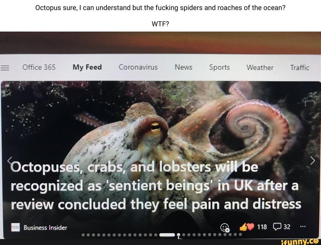 Octopug memes. Best Collection of funny Octopug pictures on iFunny