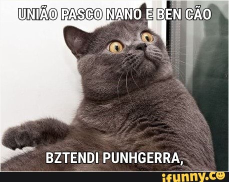 UNIÃO RASCO
BZTENDI PUNHGERRA;