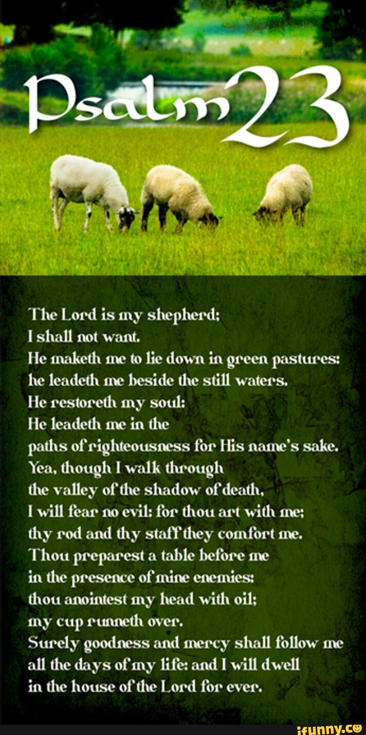 Om, The Lord is my shepherd; I shall not want. He maketh me to lie down ...