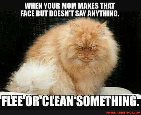 WHEN YOUR MOM MAKES THAT FACE BUT DOESN'T SAY ANYTHING.
FLEE OR CLEAN SOMETHING: