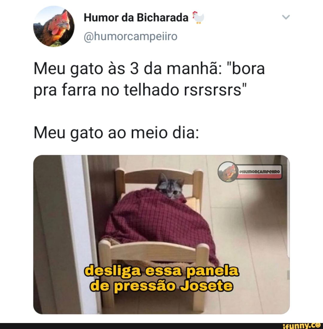 Humor da Bicharada
(a humorcampeiiro
Meu gato s 3 da manhã: "bora pra farra no telhado rsrsrsrs"
Meu gato ao meio dia:
desliga essa panela de pressão Josete