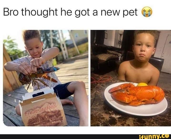 Bro thought he got a new pet