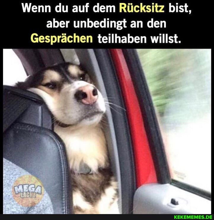 Wenn du auf dem Rücksitz bist, aber unbedingt an den
Gesprächen teilhaben willst.