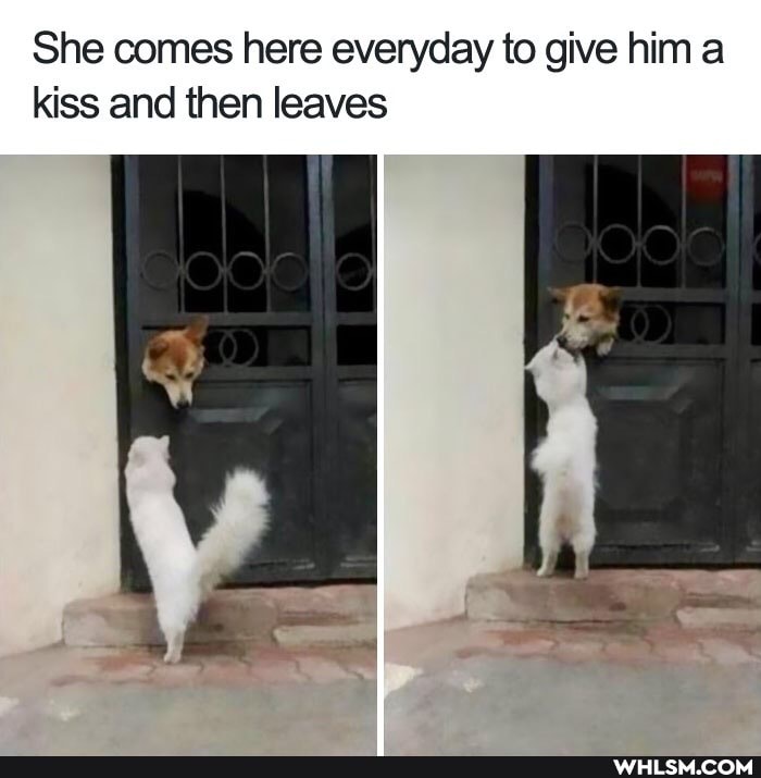 She comes here everyday to give him a kiss and then leaves