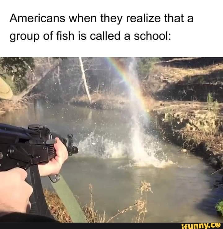 americans-when-they-realize-that-a-group-of-fish-is-called-a-school