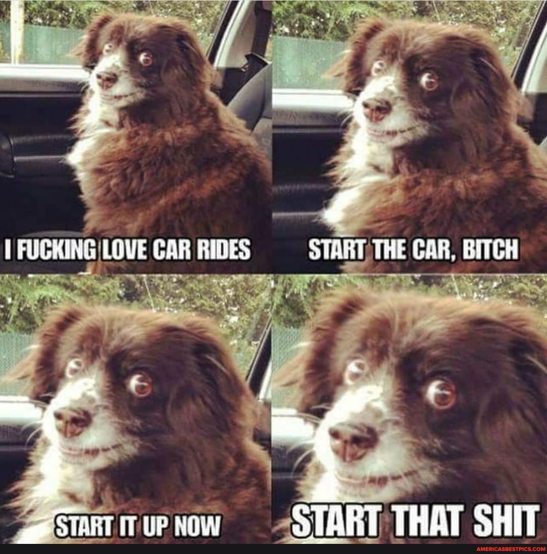 FUCKING LOVE CAR BBIBES STAYY THE GAR, BITCH
START THAT SHIT