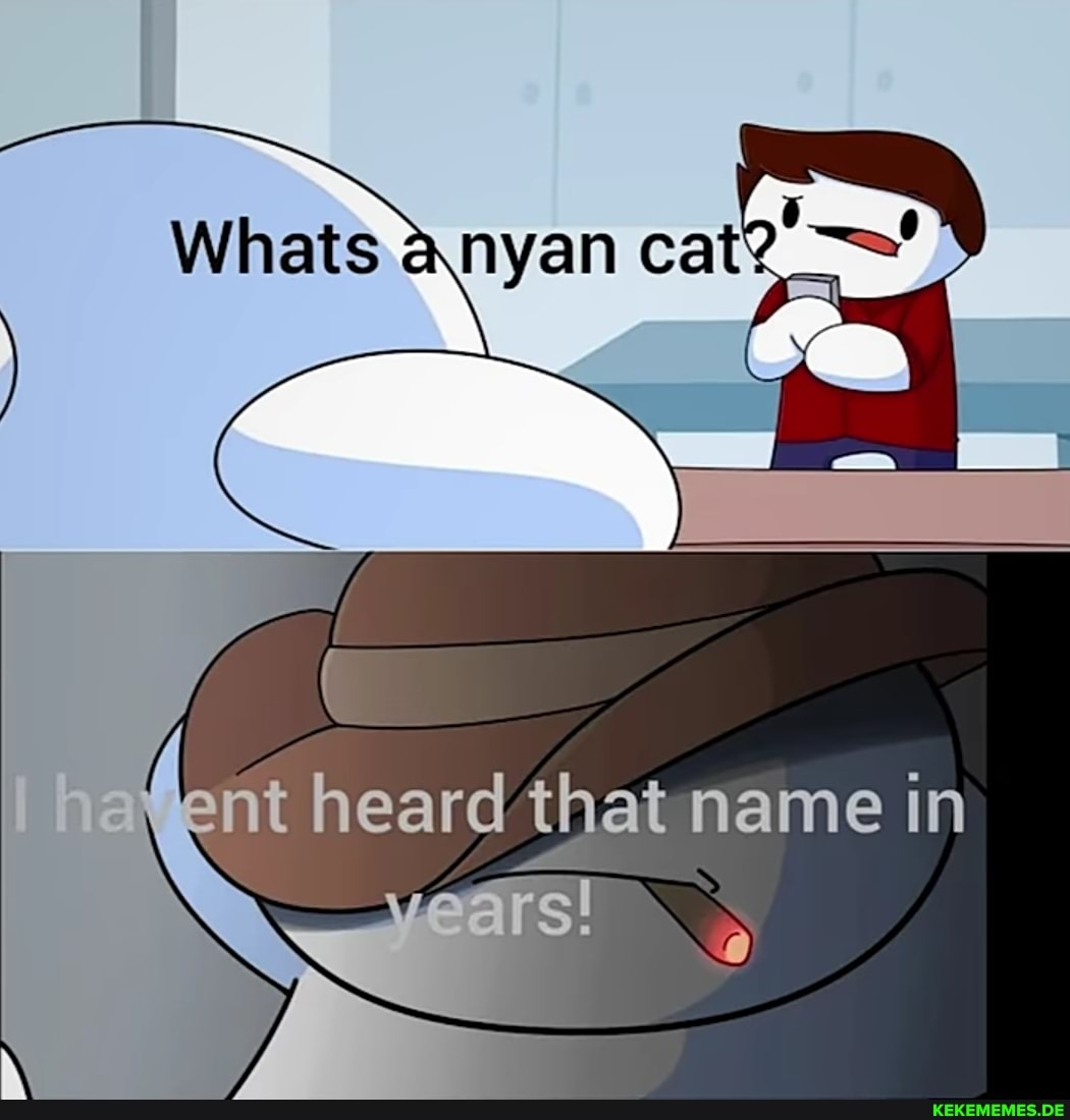 Whats anyan cat
ant heard that name in