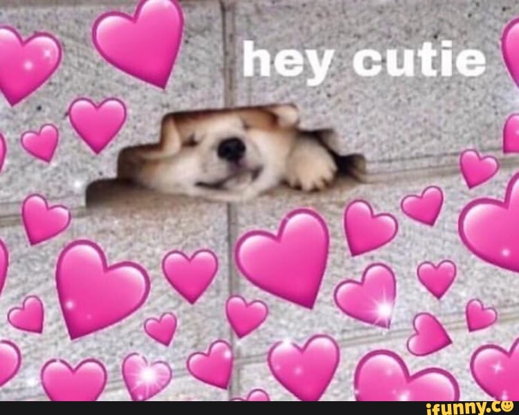 wholesome, puppy, cute, fluffy, love, affection, dog