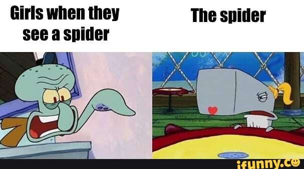 Girls when they The spider see a spider - iFunny