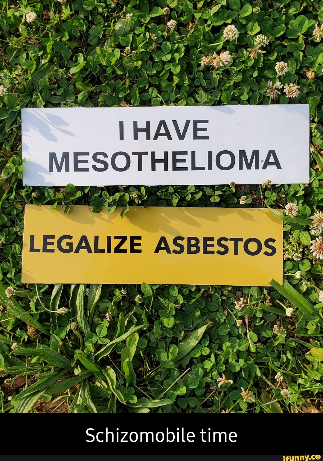 Mesothelioma memes. Best Collection of funny Mesothelioma pictures on iFunny, image size:1080x1540