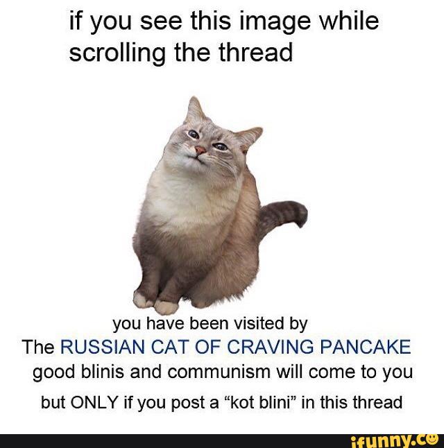 These your cats. Russian Cat Мем. Кот blini. Котя котя котя Мем. I want blini Мем.