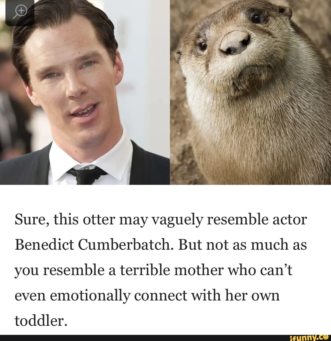 Sure, this otter may vaguely resemble actor
Benedict Cumberbatch. But not as much as you resemble a terrible mother who can't even emotionally connect with her own toddler.