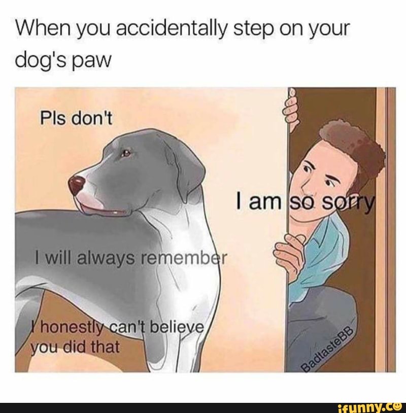 accidentally step on your dog's paw Pls 