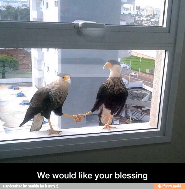 We would like your blessing - We would like your blessing
