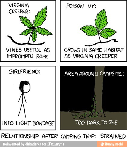 VIRGINIA POISON IVY:
VINES USEFUL AS GROWS IN SAME HABITAT
IMPROMPTU ROPE AS VIRGINIA CREEPER
GIRLFRIEND: Nav CONDO Lia
INTO LIGHT BONDAGE TOO DARK TO SEE
RELATIONSHIP AFTER CAMPING TRIP: STRAINED.