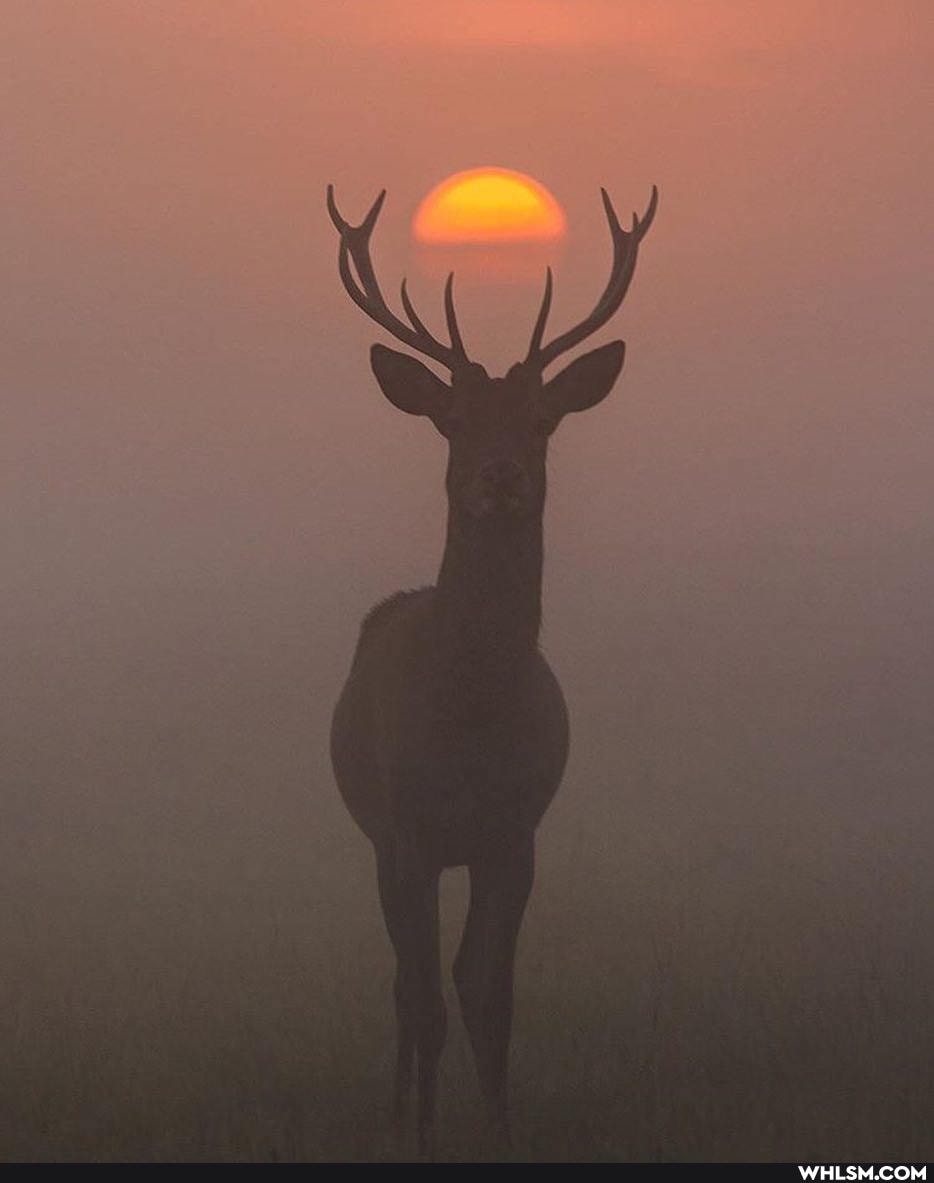 imgur12, nature
