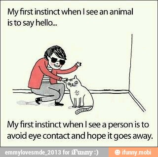 My first instinct when I see an animal
My first instinct when I see a person is to.
avoid eye contact and hope it goes away.