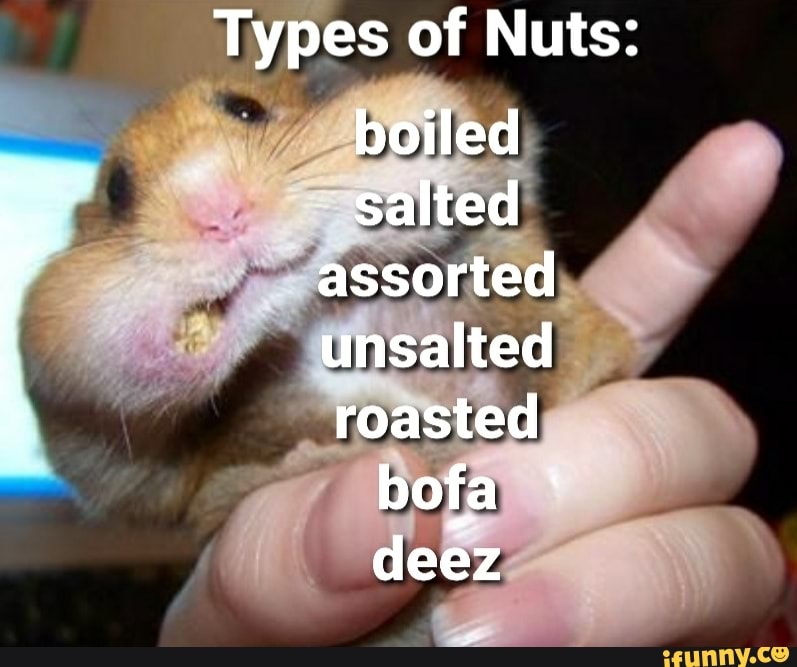 Types of Nuts:
boiled salted assorted unsalted roasted bofa deez