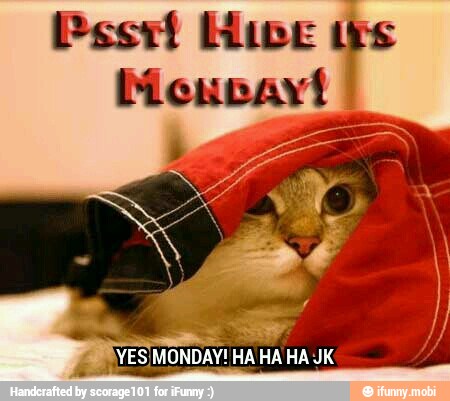 VES MONDAY! HA HA HA JK