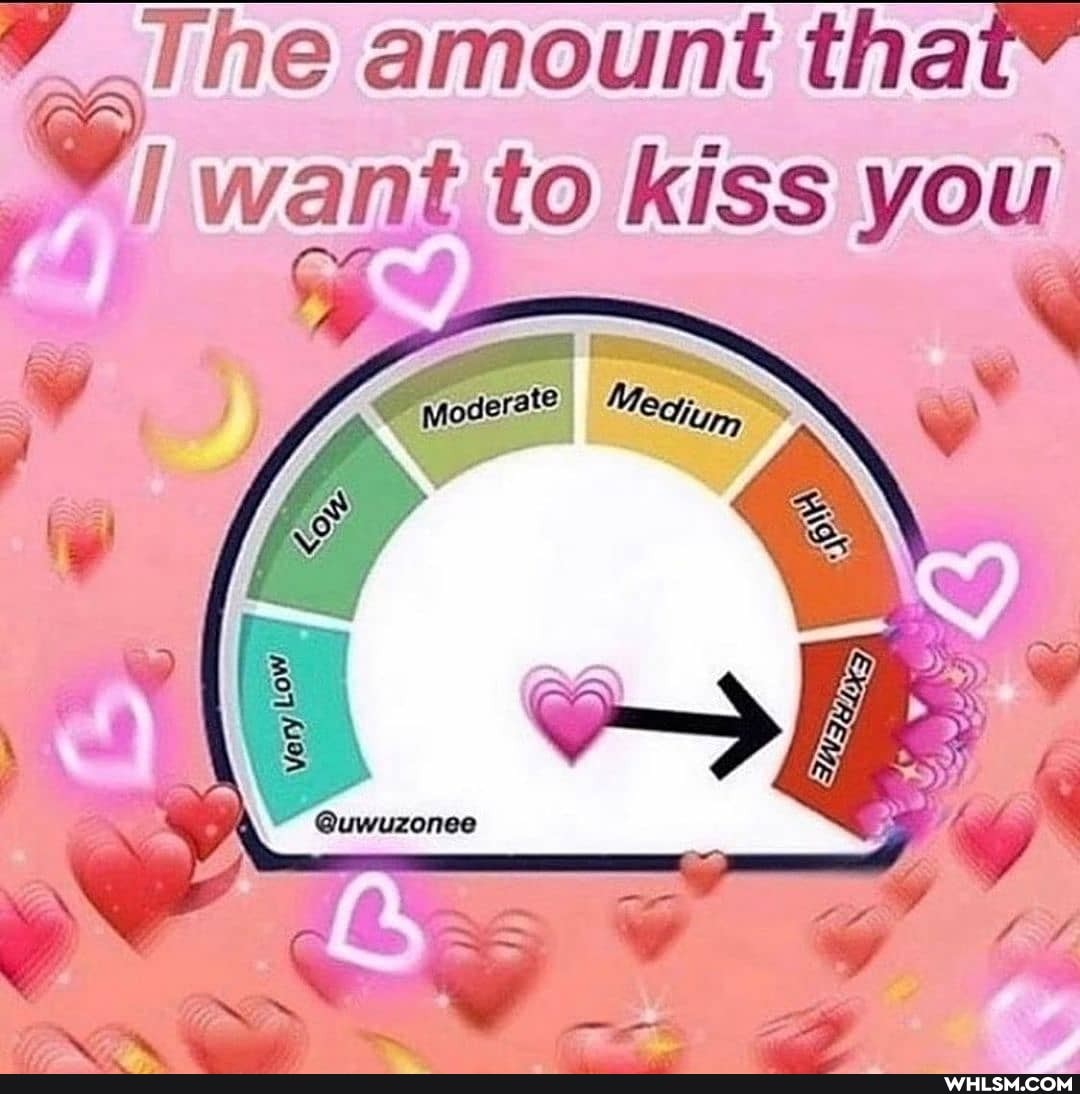 The amount that%
want to kiss you
@uwuzonee