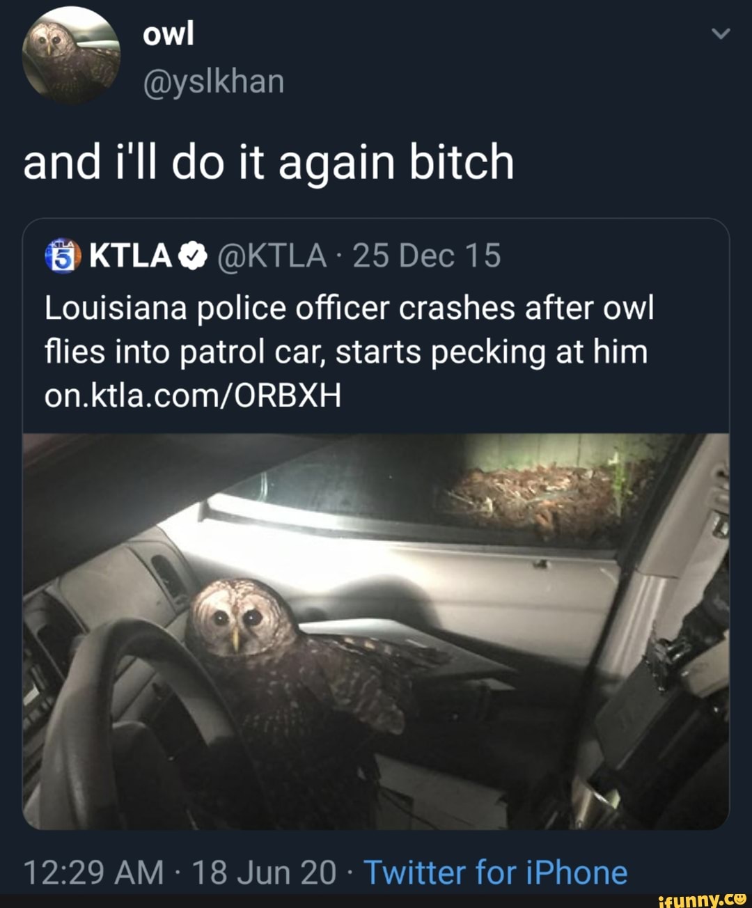 and ill do it again bitch
25 Dec 15
Louisiana police officer crashes after owl
flies into patrol car, starts pecking at him
Twitter for iPhone