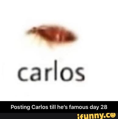 carlos
Posting Carlos till he's famous day 28 - Posting Carlos till he’s famous day 28