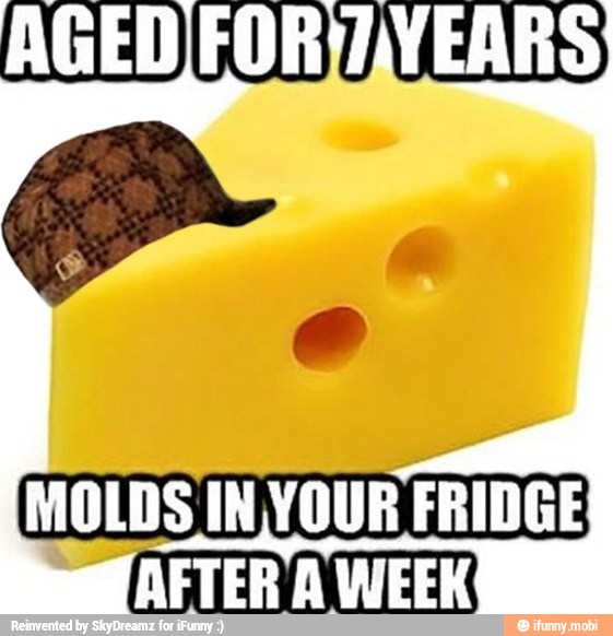 AGED/FOR)IVEARS,
A
MOLDS IN YOUR FRIDGE
(AFTER
A
WEEK "e